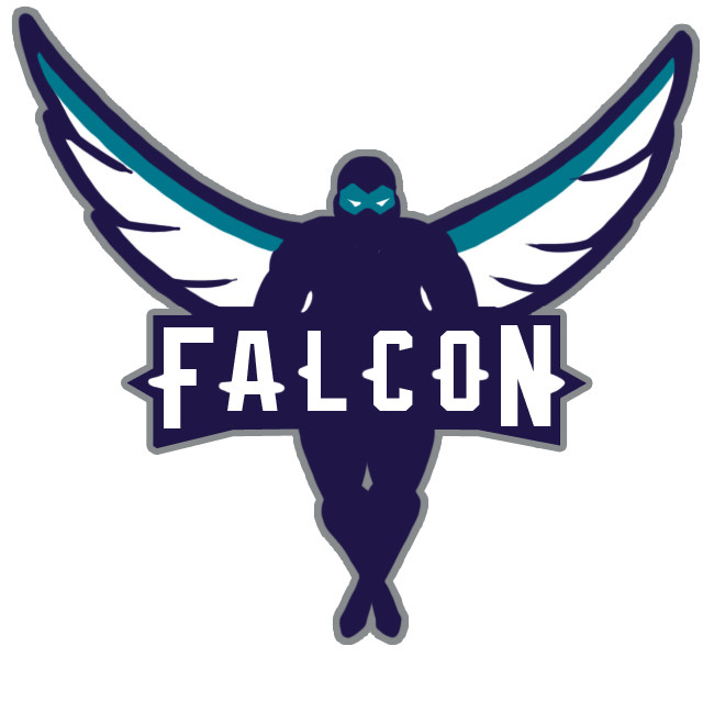 Charlotte Hornets Falcon logo DIY iron on transfer (heat transfer)